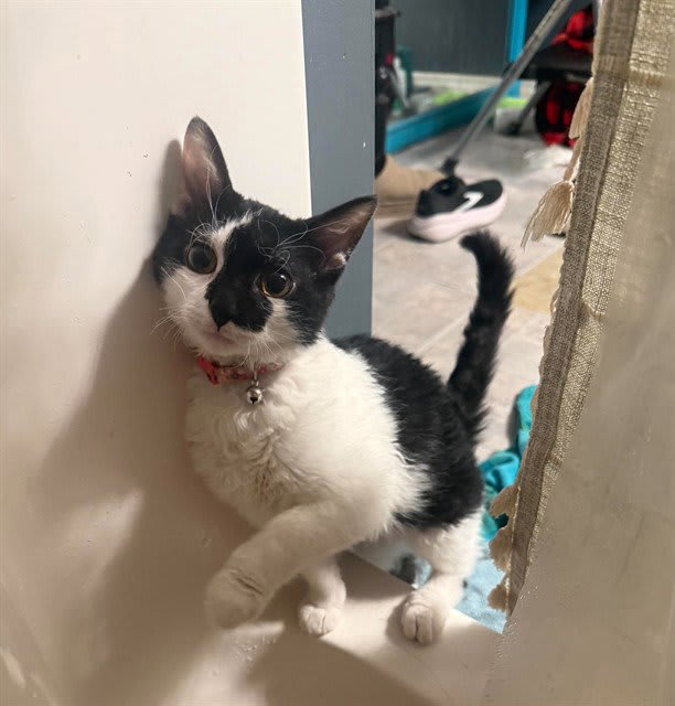 Photo of Glitch