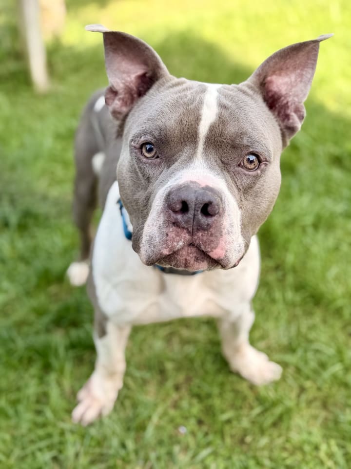 Photo of Blue