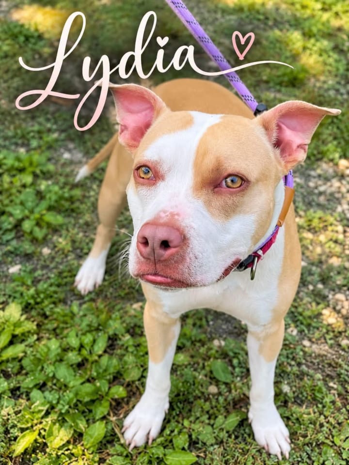 Photo of Lydia