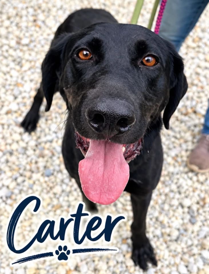 Photo of Carter