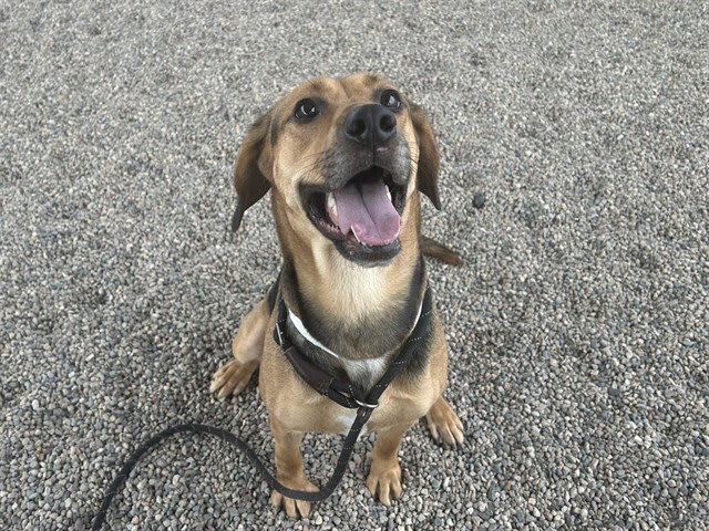 Photo of Athena