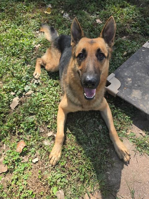Photo of Zeus