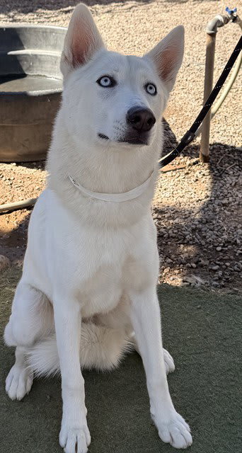 Photo of Angel