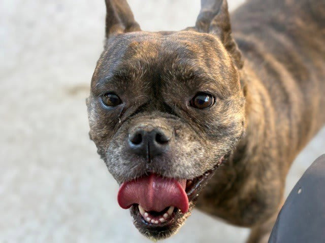 Photo of Hera