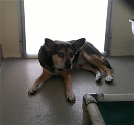 Photo of Rupert