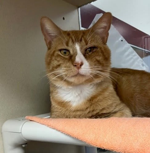 Photo of Arnold