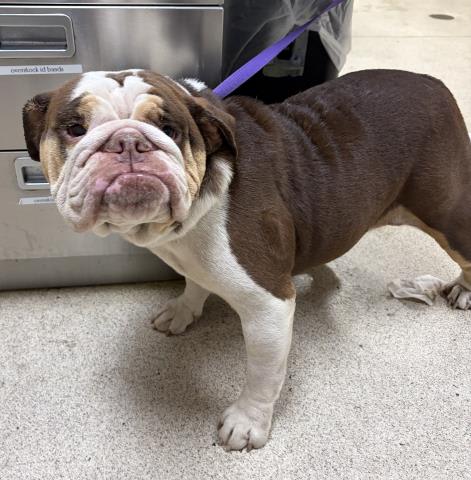 Photo of Ms Maggie