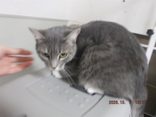 Photo of Tabitha