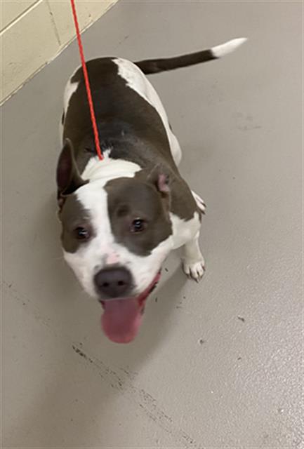 Photo of Belle