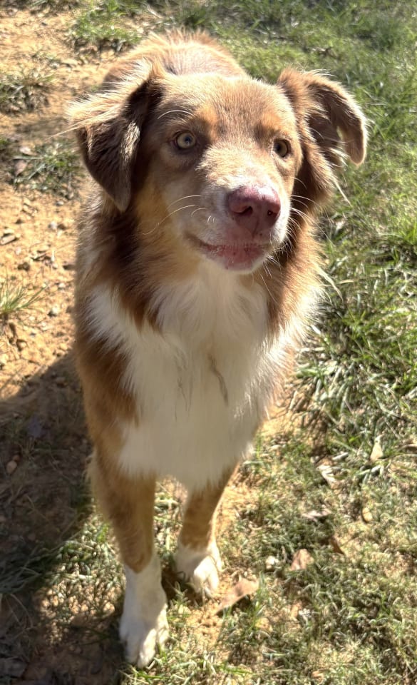 Photo of 261562 Rudy