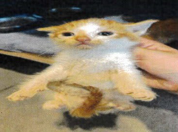 Photo of Mr Cutie