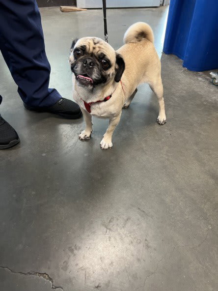 Photo of Wednesday