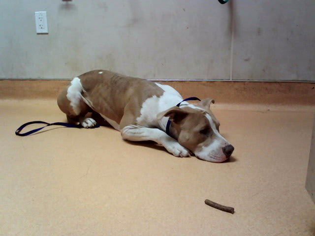 Photo of Nellie