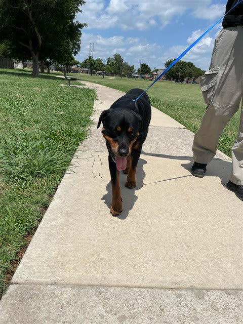 Photo of Chapo