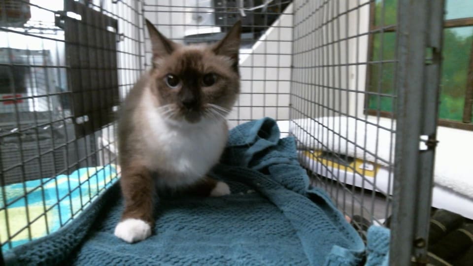 Photo of Lulu