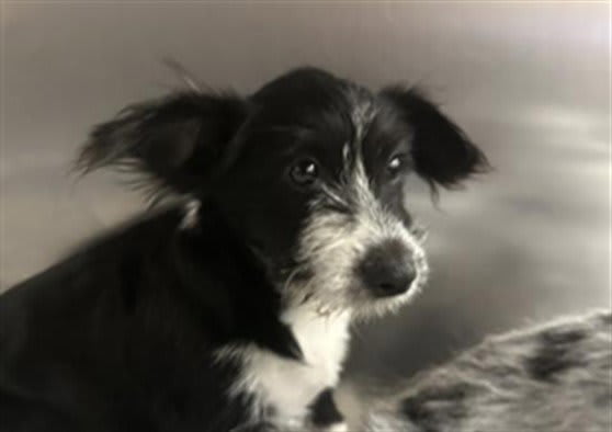 Photo of Phil