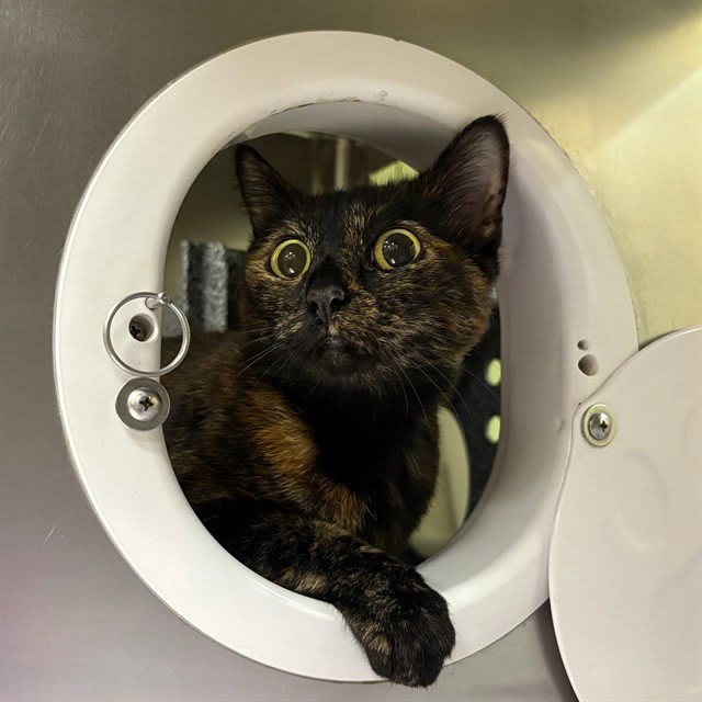 Photo of Winifred