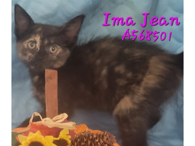 Photo of Ima Jean