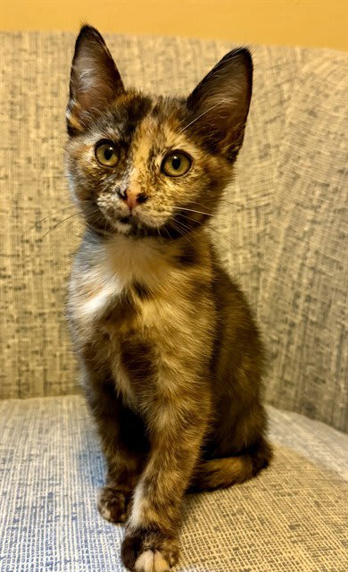 Photo of Tia