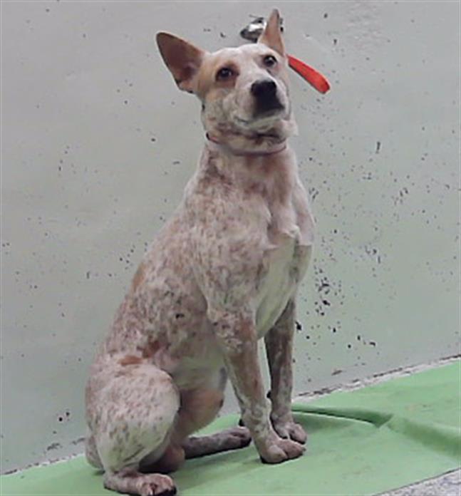 Photo of Vance