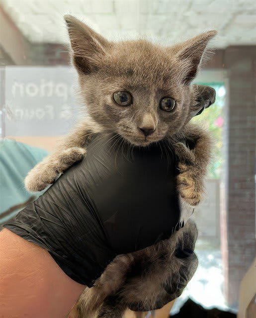 Photo of Thumbelina