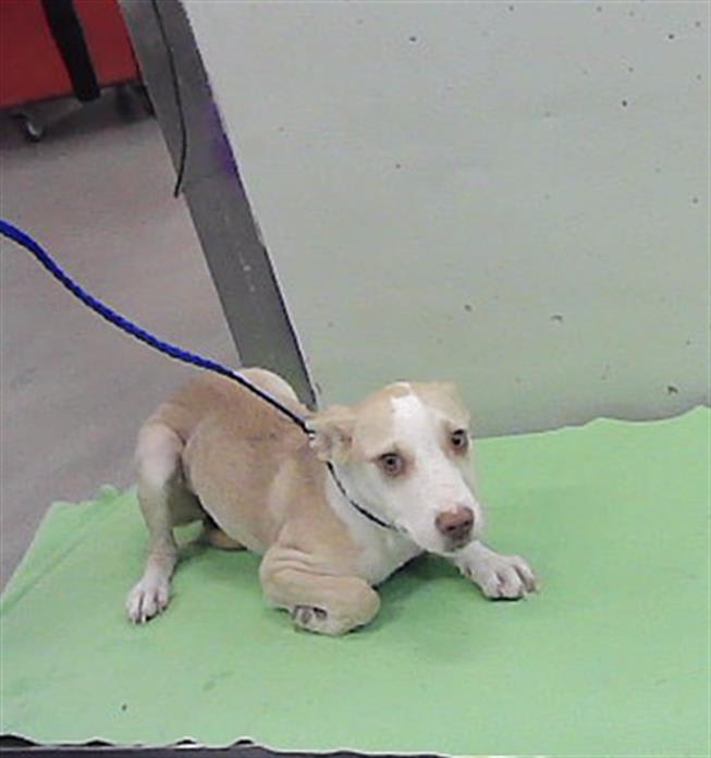 Photo of Zig