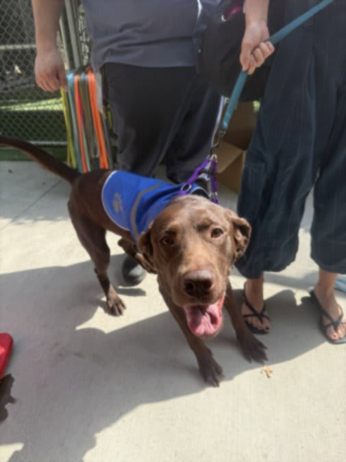 Photo of Barkley