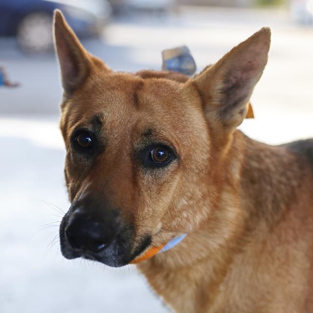 Photo of Jax 2