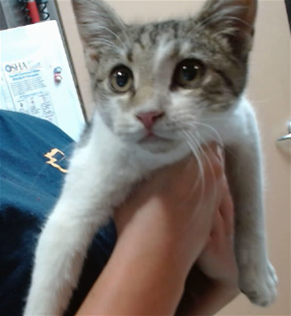 Photo of Tina