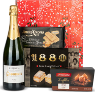 Estuche de Navidad Burbujas Nº572 - Cava Codorníu + Turrones Antiu Xixona y Trufas