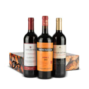 Estuche Vinos Navidad Nº79 - 3 Botellas Vino Tinto + Caja Cartón Navideña Decorada