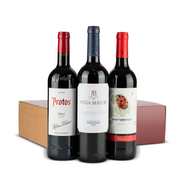 Estuche Vino Tinto Nº85 - Caja Navidad Botella vino Protos y Viña Mayor + Yllera