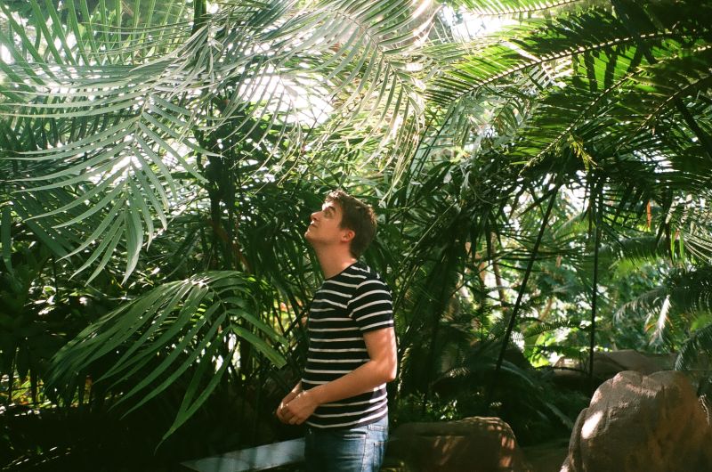 thibaultlooking