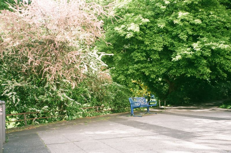 bench