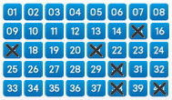Game ticket