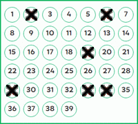 Game ticket