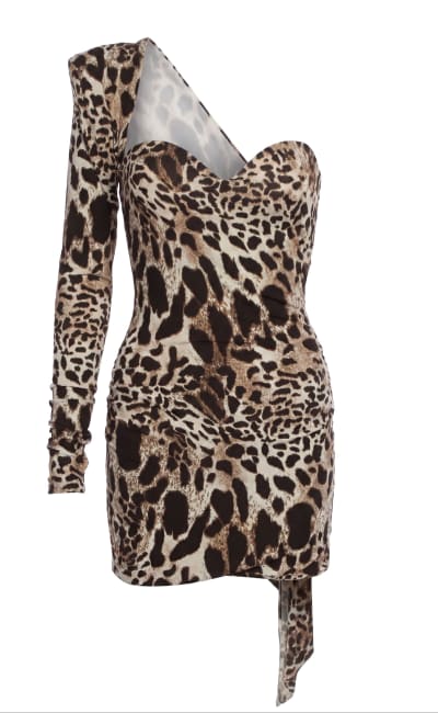 Alexandre Vauthier Animal Print Leopard Mini Dress