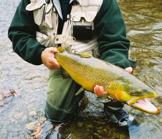 TMC 7999 Salmon/Steelhead Hook - Guided Fly Fishing Madison River, Lodging