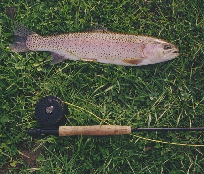 Fly Fishing Supplies