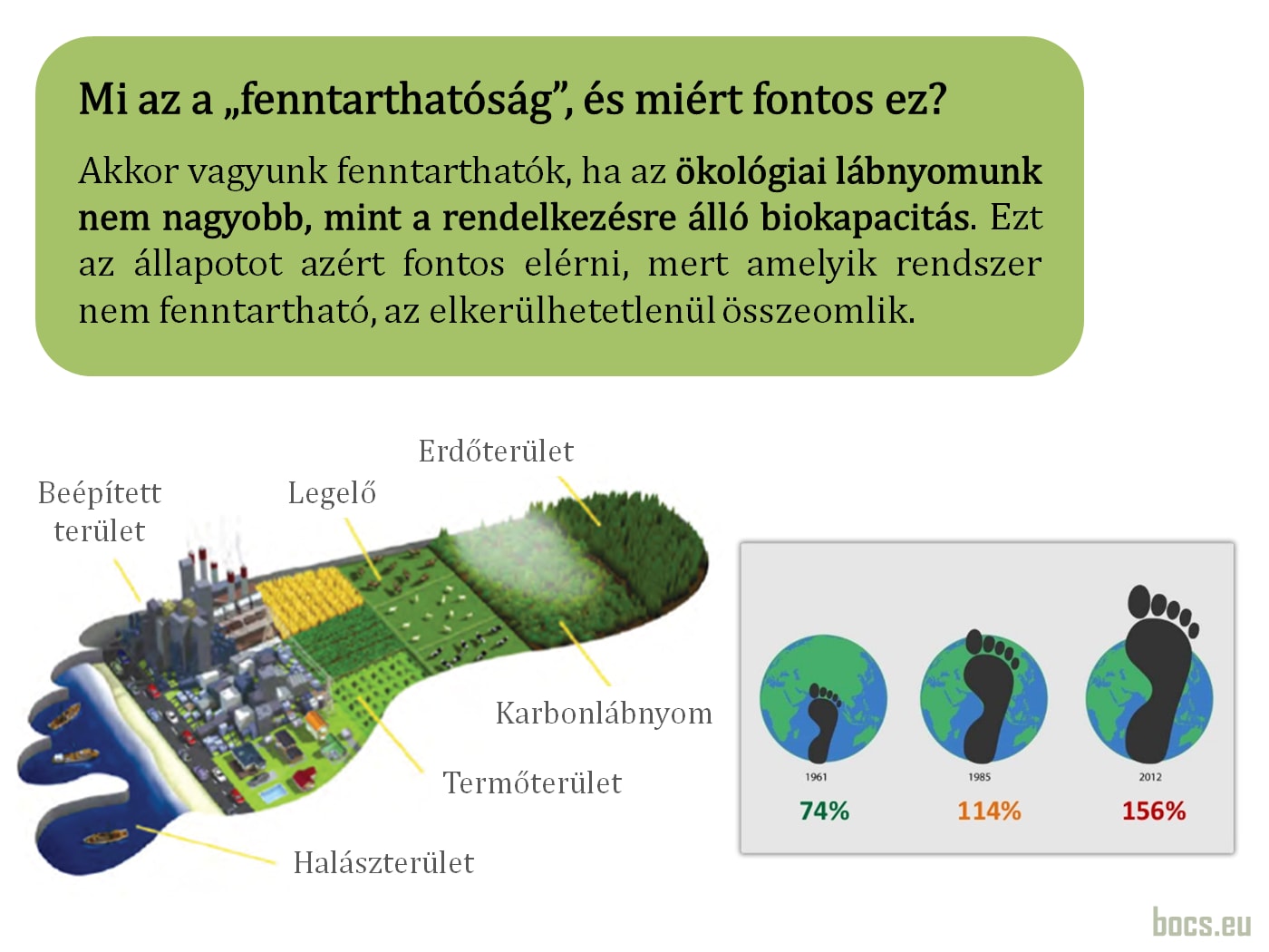Mi a fenntarthatóság - LoveInfo