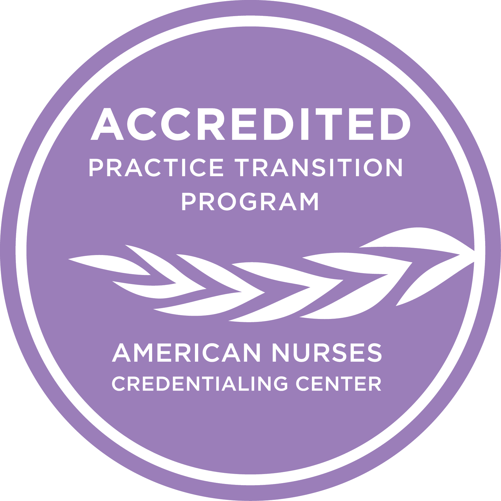 ancc or amsn medical surgical certification exams