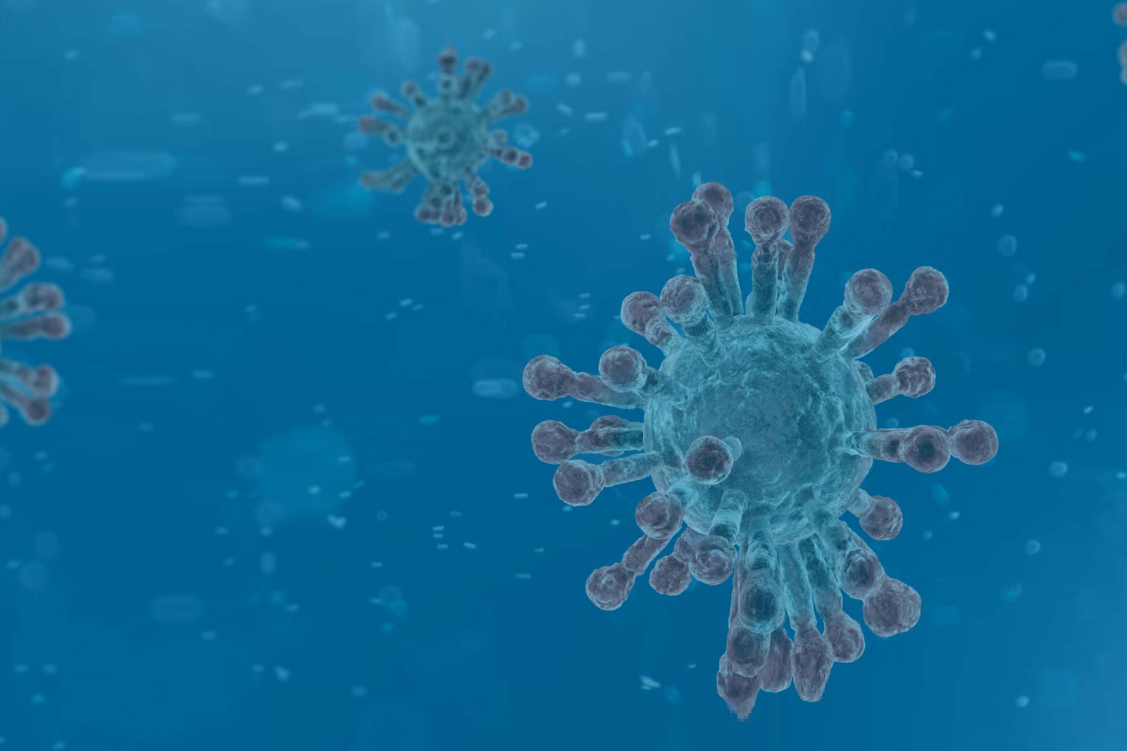 Important Information on COVID-19