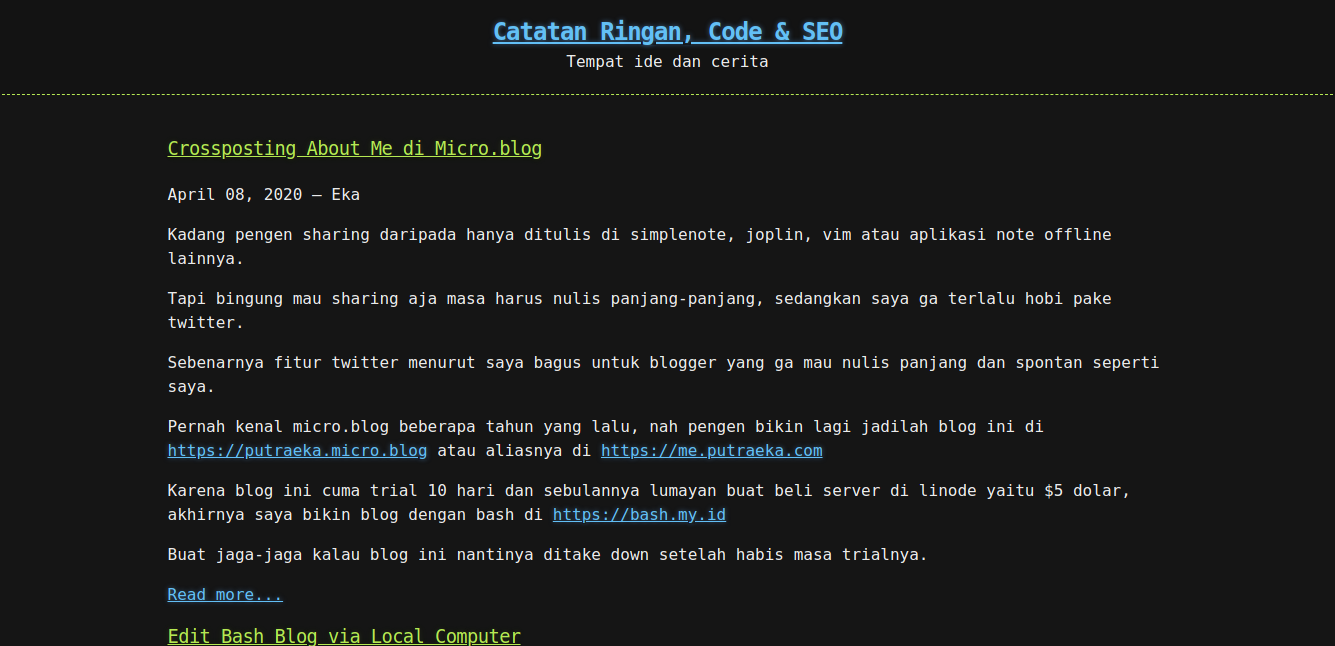 tampilan hacker theme untuk bash blog