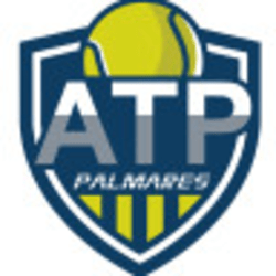 RANKING ATP PALMARES - 2020