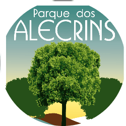 2o Torneio Interno de Beach Tennis Alecrins - Masculino A