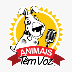 4º torneio de Raquetinha "amigos da animais têm voz" - masculino C\D