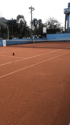 4° BTC Open de Tenis  - 4° BTC open Categoria Feminino open