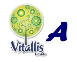Ranking Vitallis 2017 - 3a Edição - Avançado