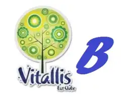 Ranking Vitallis 2017 - 3a Edição - Intermediário