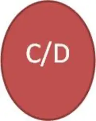 GRUPO 4 - C/D
